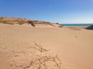 Fotografia- Al di qua del deserto - Emanuele Bonaventura