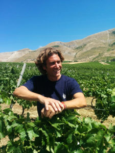 vigne vini siciliani