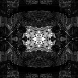 Metamorfosi n.9