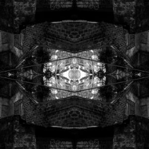 Metamorfosi n.9