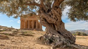 viaggio a trapani e Agrigento