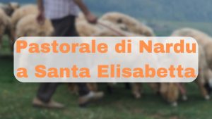 CHRISTMAS EVENT SANTA ELISABETTA PASTORALE DI NARDU GENNAIO 2025