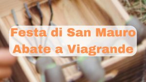 CHRISTMAS EVENT VIAGRANDE FESTA DI SAN MAURO ABATE GENNAIO 2025