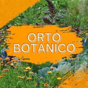 cultura natura orto botanico museo scientifico naturale ateneo università Palermo Sicilia