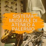 cultura natura scienza storia siciliana musei universitari d'ateneo Palermo