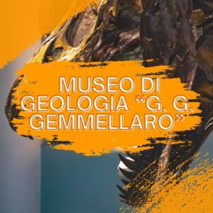 cultura storia museo paleontologia geologia gemellaro ateneo università Palermo Sicilia