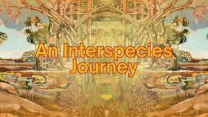 An Interspecies Journey Mostra Sicilia Primavera Sicily and Sicilians