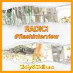 Radici- Flash interview- Sicily and Sicilians- Museo Palermo
