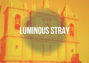 festival sicilia artistici culturali autunno inverno agrigento luminous stray 2025