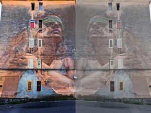 Murales naturalistici in sicilia street art sicilia arte urbana in sicilia arte contemporanea invisibile alberto ruce