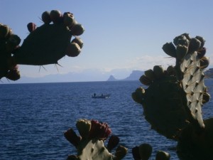 Fotografia - Sicilia, le acque dell'Alfa tra le spine dell'Omega - Antonino Di Trapani